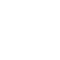 Branding Icon